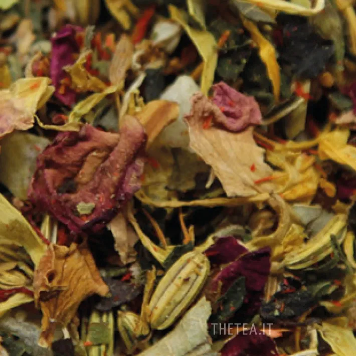 Discount 5 SENSI Infusioni