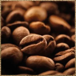 New ARABICA 100% Caffè