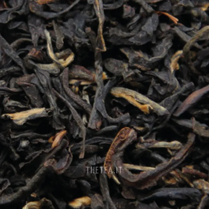 Online ASSAM FTGFOP1 – TONGANAGAON 🌱 Foglie & Natura|Foglie Di Tè