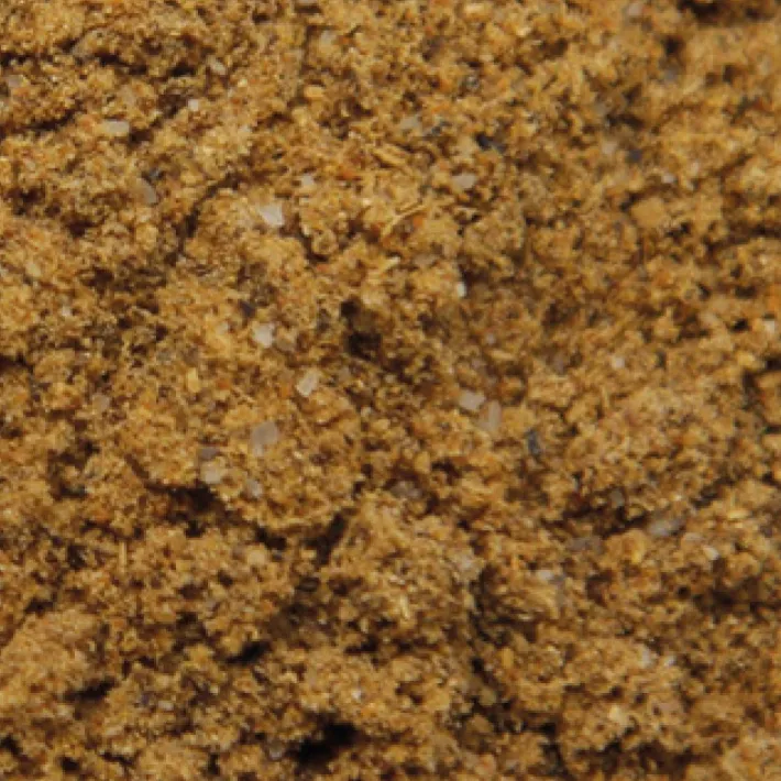 Online BERBERE’ – ETIOPIA Spezie