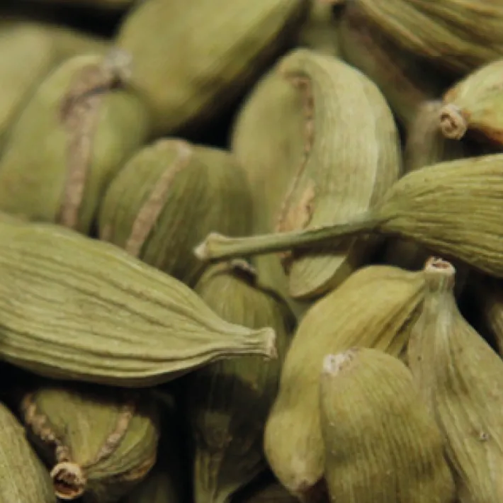 Hot CARDAMOMO VERDE Spezie