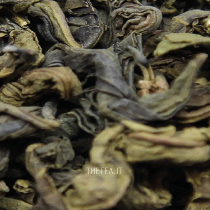 CEYLON – MELFORT Foglie Di Tè