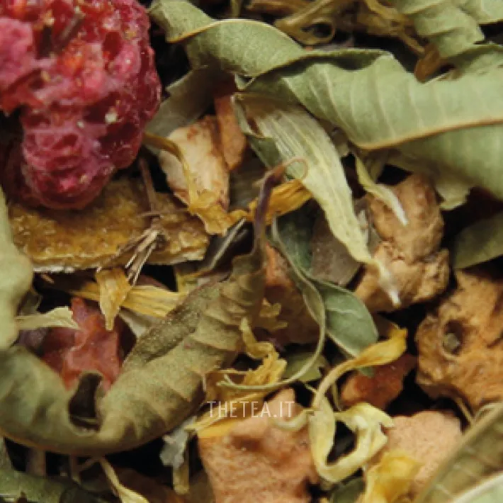 Sale COTOGNA 🌱 Foglie & Natura|Infusioni
