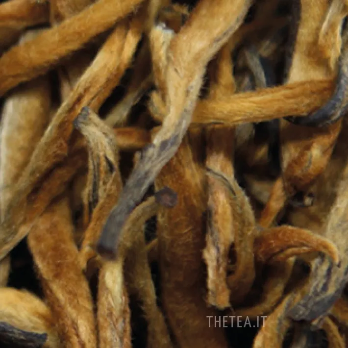 Discount DA JIN YA GOLD – RARITY 🍂 L’Autunno In Tazza|Foglie Di Tè