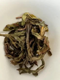 Hot DAN CONG MI LAN XIANG Foglie Di Tè