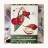 New FILTRI – CILIEGIA & CACAO Filtri A Piramide