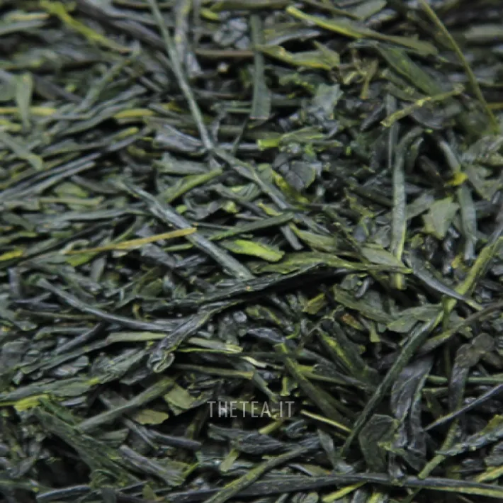 GYOKURO ASAHI – Uji Foglie Di Tè