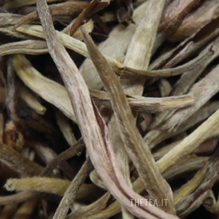 Sale JASMIN SILVER NEEDLE Foglie Di Tè