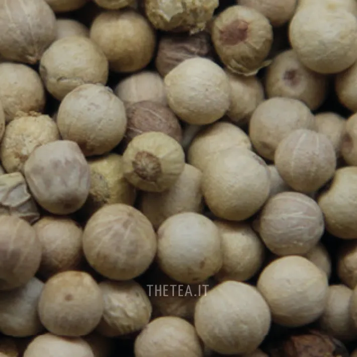 Outlet PEPE BIANCO DI MUNTOK – INDONESIA Spezie