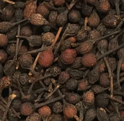 Discount PEPE VOATSIPERIFERY DELLA FORESTA MASCAREIGNE o pepe del Madagascar Spezie