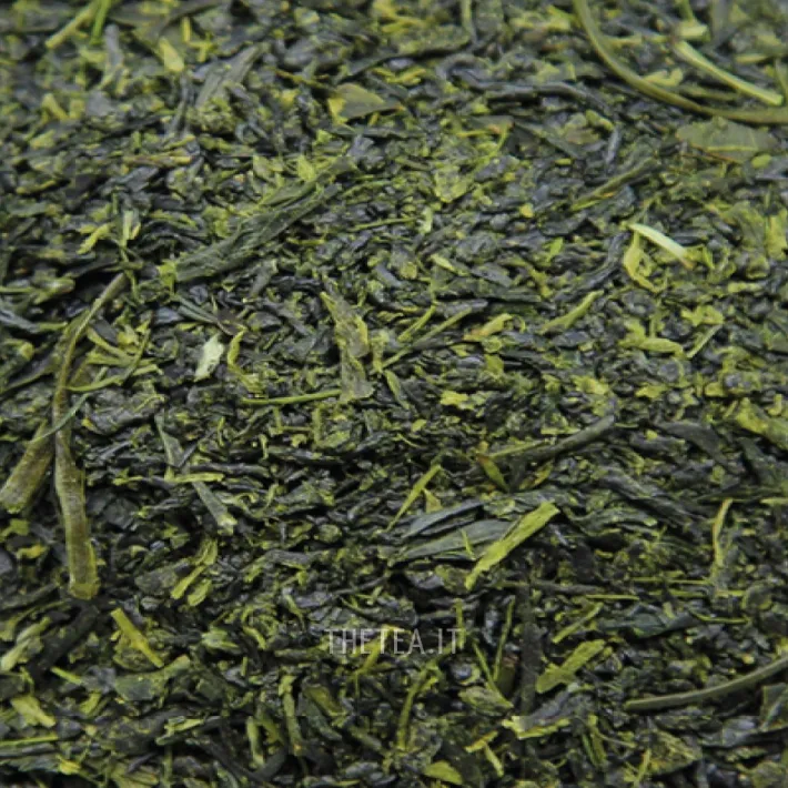 Sale SHINCHA YUME 2025 – Kagoshima 🌱 Foglie & Natura|Foglie Di Tè